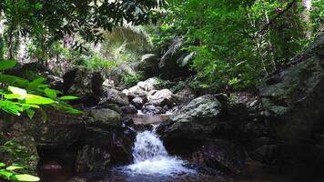 trai truncado cascada, naturaleza sendero a chalerma rattanakosin nacional parque, kanchanaburi, tailandia video