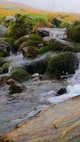 agua que fluye sobre las rocas en un arroyo video