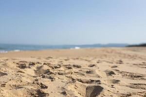 Close-Up of Sandy Beach with Sea View photo