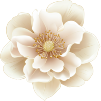 Delicate white flower with soft petals, cut out transparent png