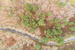 mountain road in autumn, aerial top view with a drone photo