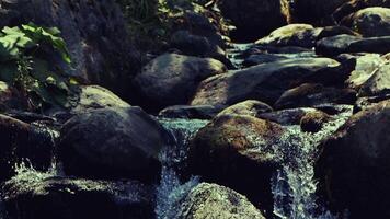 cascada en rocas en naturaleza ver video