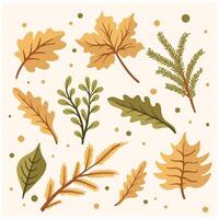 Set of autumn leaves, branches, acorns and cones vector