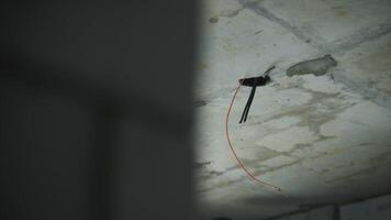 Electrician Pulling Wire In Wall video