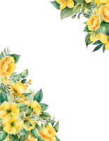 Floral bloom frame clipart png