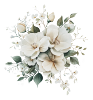 White flowers with green leaves png