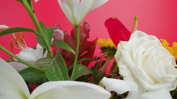 Flower bouquet with greenery against bright pink studio wall video