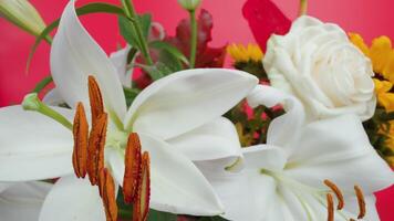 Flower bouquet with white lilies and rose in studio macro video