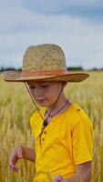 retrato do uma sorridente Garoto ao ar livre. pequeno criança dentro Palha chapéu e amarelo camiseta em pé dentro a agricultura campo e olhando para Câmera. vertical video