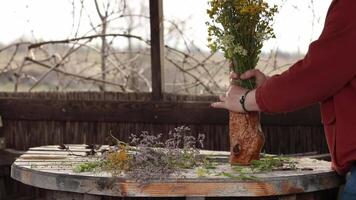 Put wildflowers bouquet in vase on table in garden house outdoor. Create floral arrangement with wildflowers, twigs with buds and spring herbs. Rustic composition with sprigs of Limonium flowers video