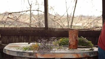 Clean mess from wooden table. Gather with hands cut flower parts on table in summer house and throw away before arranging wildflower bouquet. Spring flowers and herbs, rustic style floral arrangement video