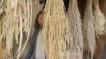 Hanging Dried Herbs in Natural Light to Enhance Aroma and Beauty of Your Home Decor. Action video