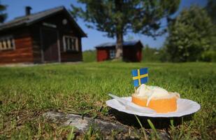 kaka i de gräs på de nationell dag av Sverige foto