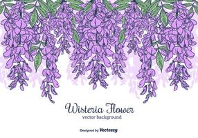 Hand Drawn Wisteria Blume Vektor Hintergrund