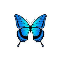 Blau Schmetterling Vektor isoliert auf Weiß Hintergrund.