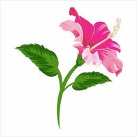 große Blume des roten Hibiskus lokalisiert auf weißer Hintergrundvektorillustration vektor