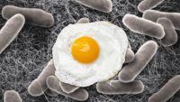 An egg recall linked to deadly salmonella in multiple states is growing: Check your cartons right now