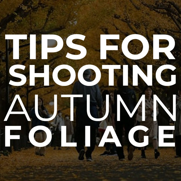 Tips for Shooting Autumn Foliage