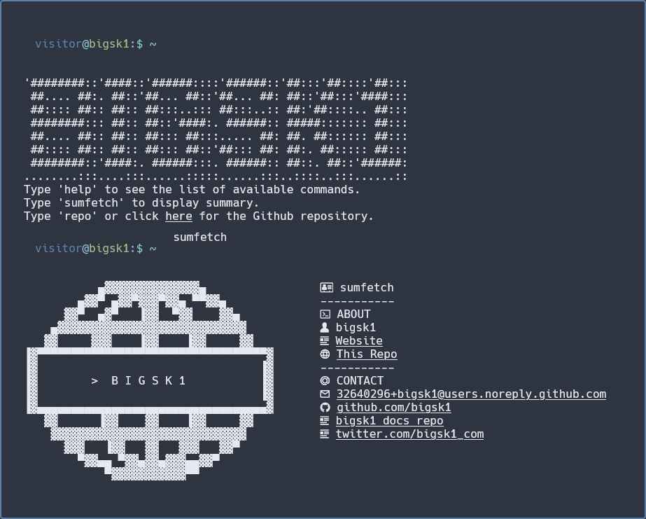 bigsk1_termsite