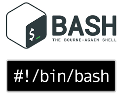 Bash