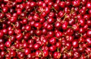 Cherries texture sample