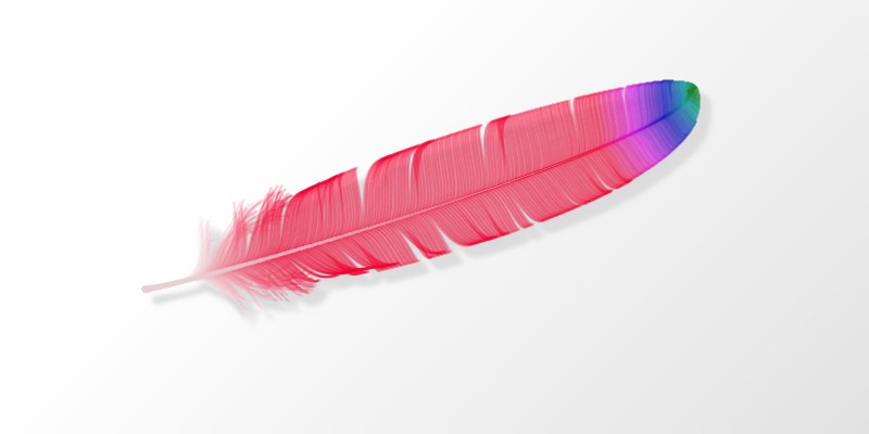 Feather