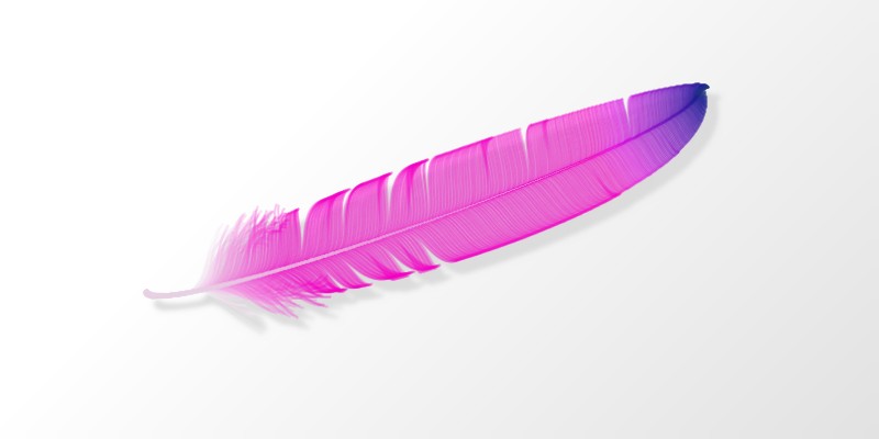 Feather