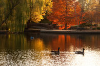 Fall at the Lake