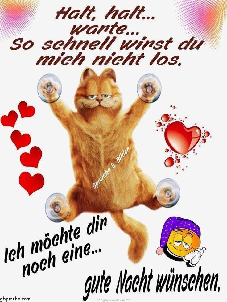 lustig gute nacht bilder