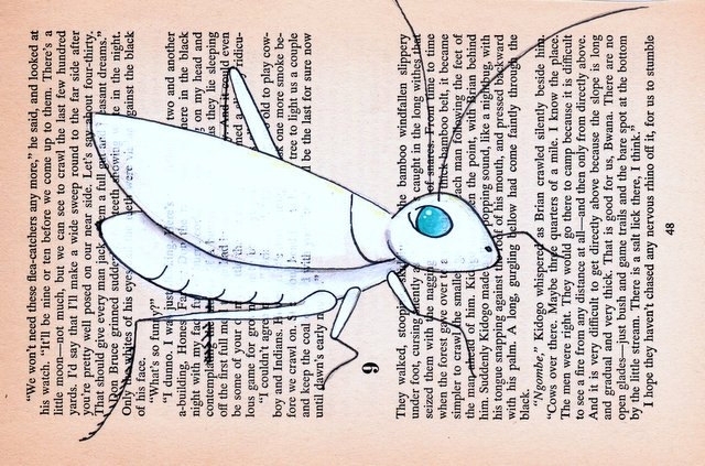 White Chinese Cricket On Vintage African Novel Page