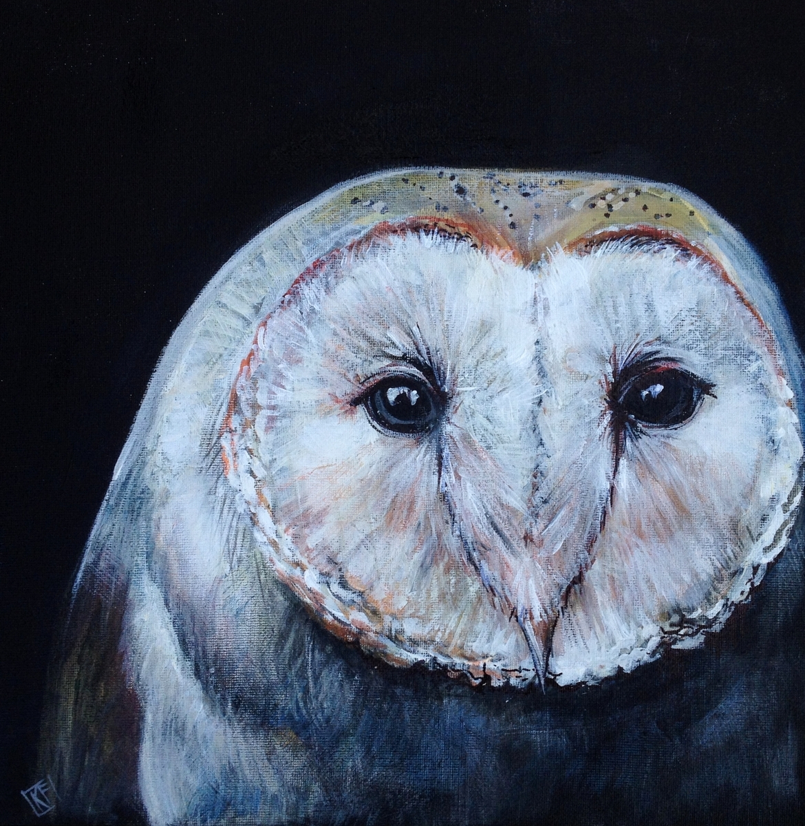 Owl Acrylic Painting