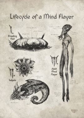 Lifecycle of a Mind Flayer