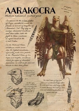 Aarakocra Note