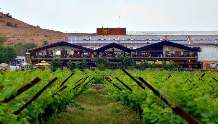 Sula Vineyards