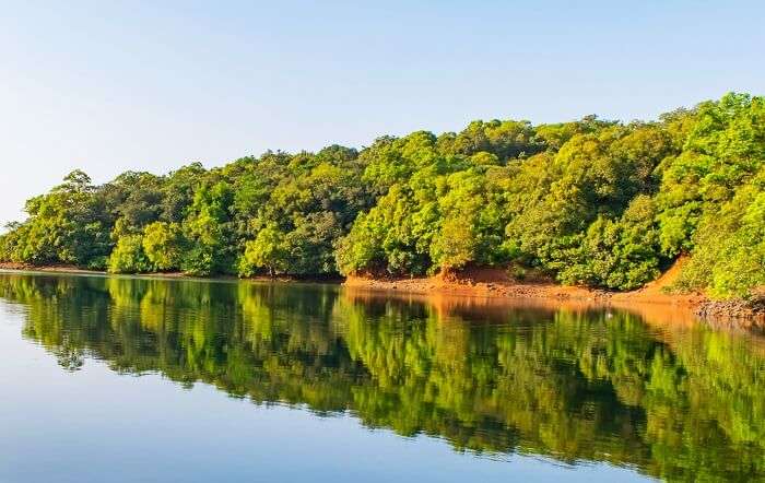 Charlotte Lake in Matheran