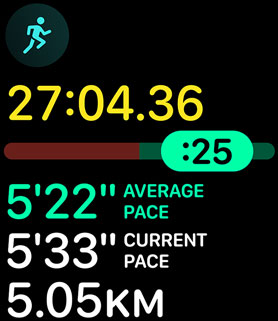 Running form metrics providing the personʼs pace and distance.