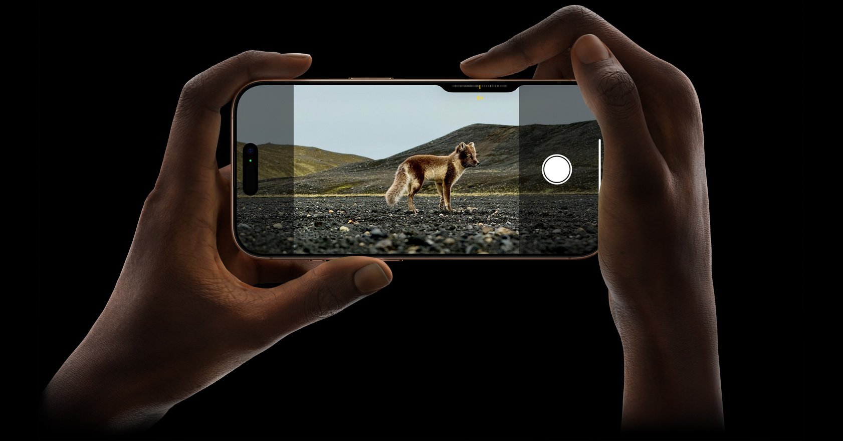 iPhone 16 Pro dans les mains d’une personne qui photographie un animal en utilisant la caméra téléobjectif 5x