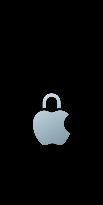 Privacy Apple logo.