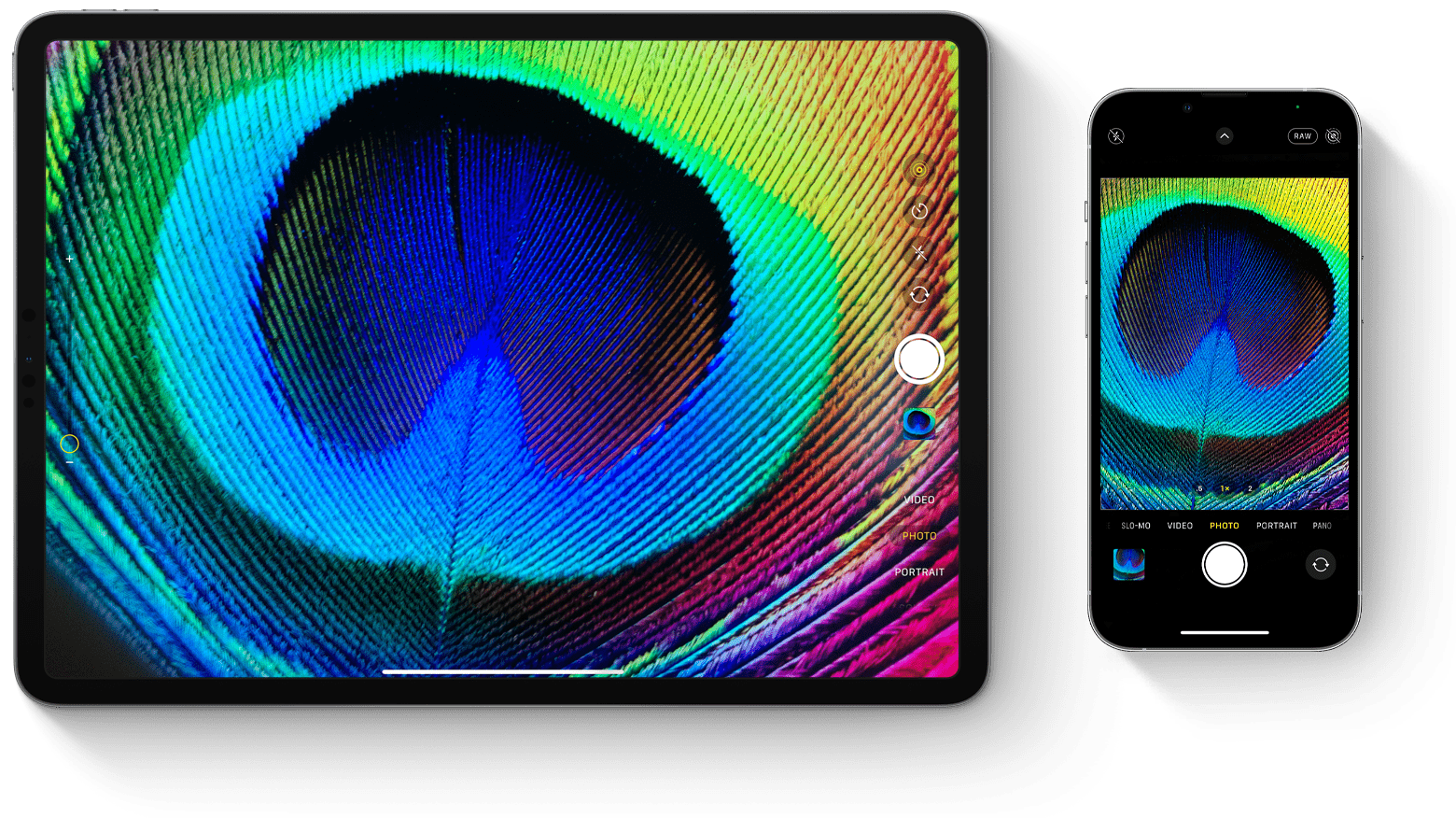 iPad Pro and iPhone both with Camera app open framing the same object