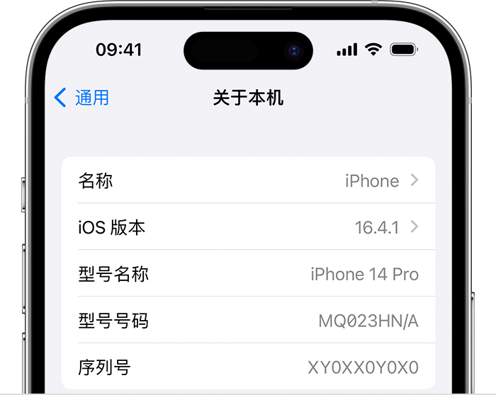 iPhone 上的“关于本机”屏幕。