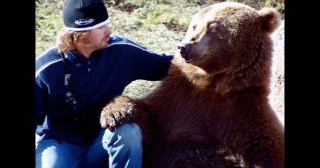 Having a 800-pound grizzly for a friend (23 pics)