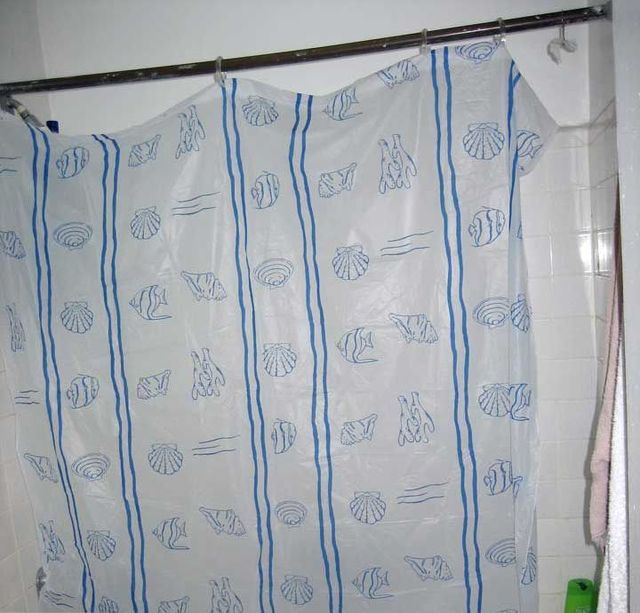 Shower curtain purchased for one dollar (3 pics)