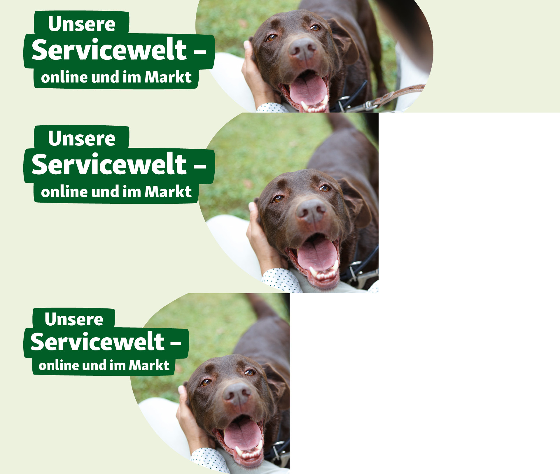 Servicewelt