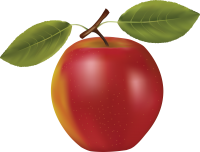 Manzana PNG