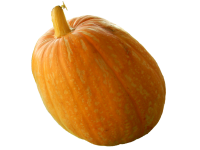 Pumpkin PNG