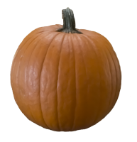 Pumpkin PNG