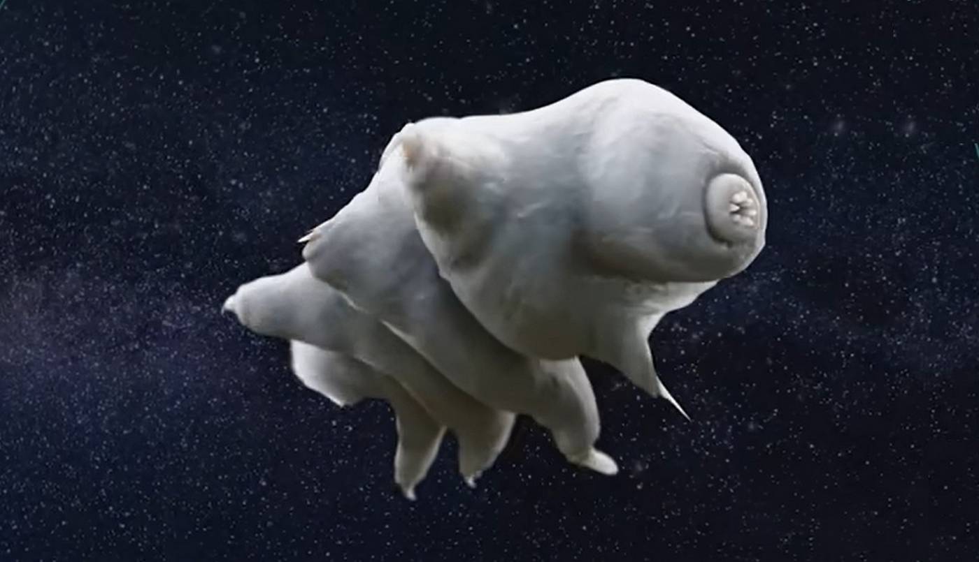 Tardigrades Refuse to Die