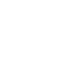 Bitcoin Cash Cryptocurrency icon