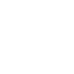 Bytecoin Cryptocurrency icon