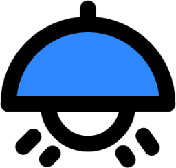 dome light icon